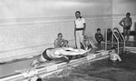 Ed Booth Dives into a Relay lap, circa 1963