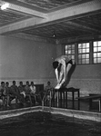 Man Diving, circa 1964