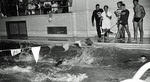 Swim Meet with Roanoke College, circa 1960