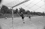 From Behind the Net, 1974