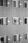 View of Residence Hall Windows