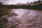 College Lake, April 1977