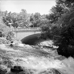 College Lake, July 1948