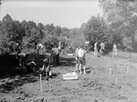 Gift of Class of 64 Lake Project, 1964